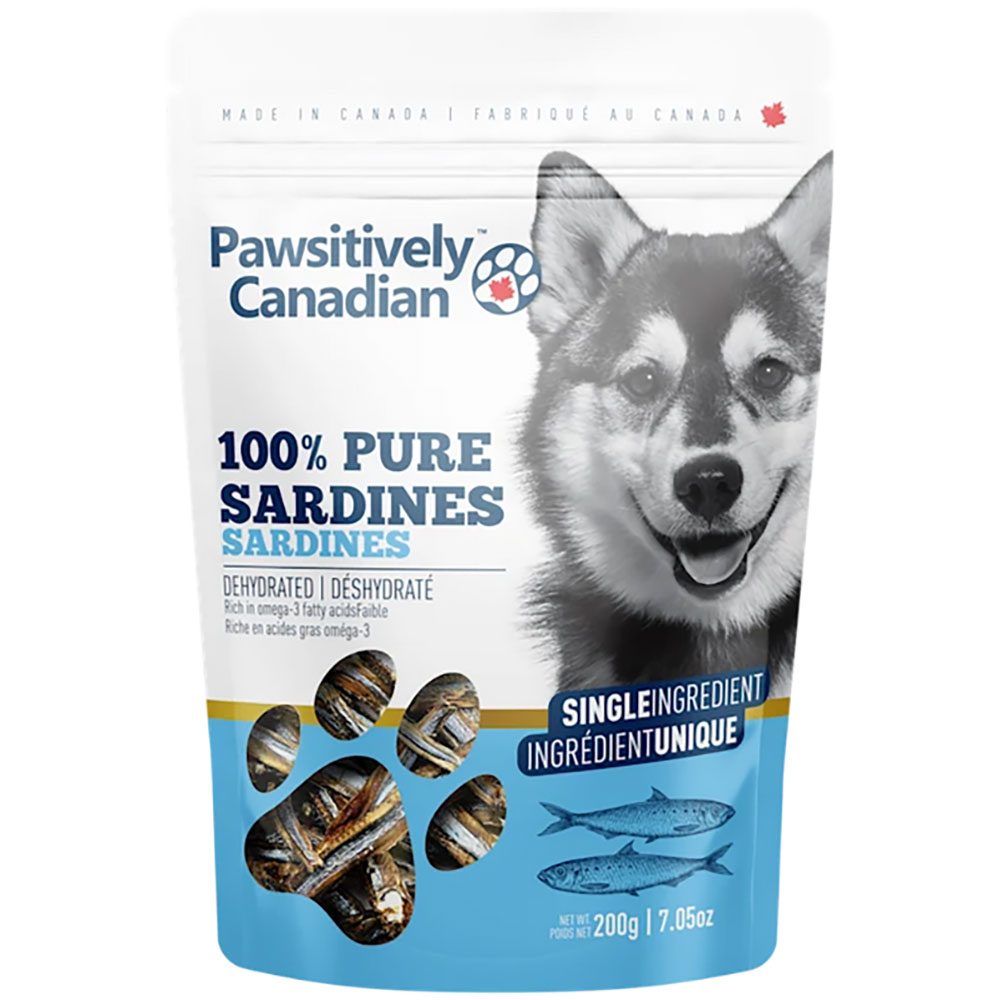 dogs sardines